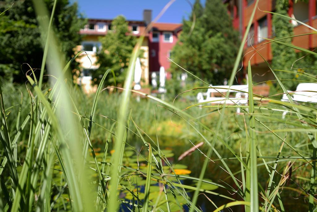 Wagners Hotel Schonblick, C&C Hotels Und Vertrieb Gmbh Fichtelberg Dış mekan fotoğraf